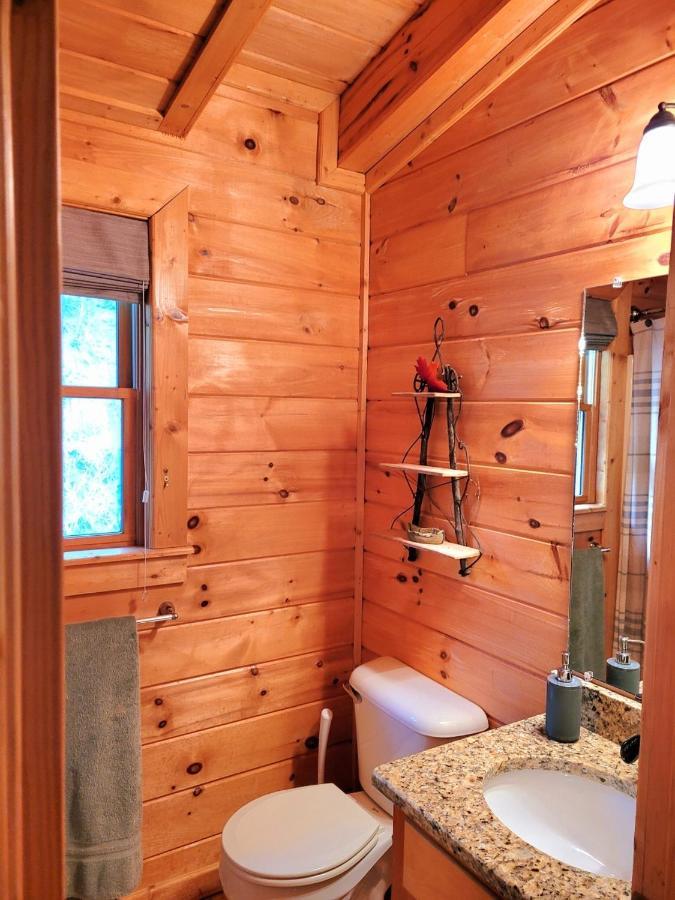 Luxury Cabin With Waterview And Privacy, Hiking Blue Ridge Exterior photo