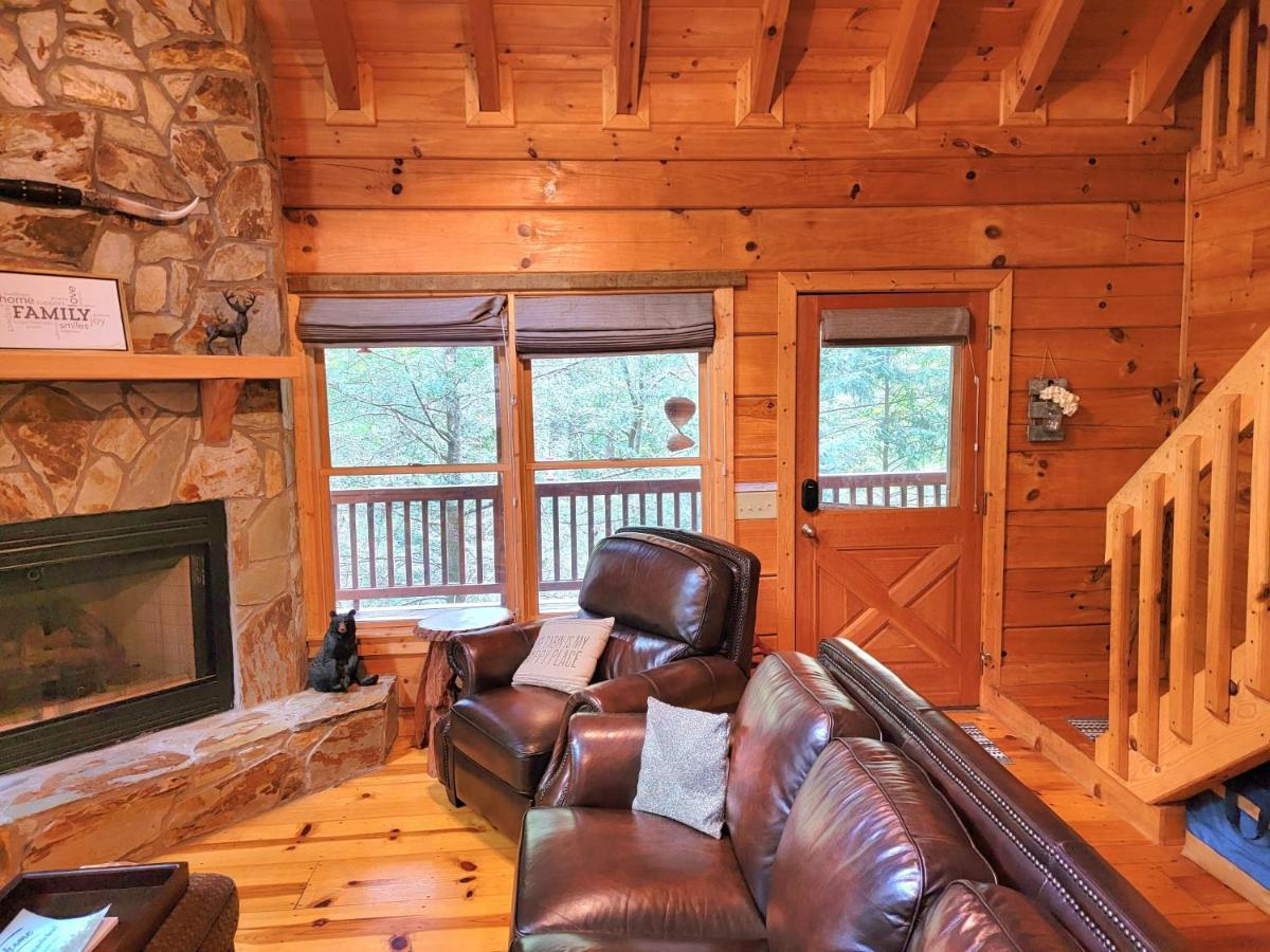 Luxury Cabin With Waterview And Privacy, Hiking Blue Ridge Exterior photo